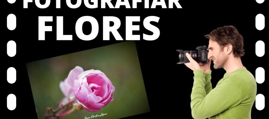 10 Consejos para Fotografiar Hermosas Flores con un Smartphone - ¡Descubre el Poder de tu Teléfono!