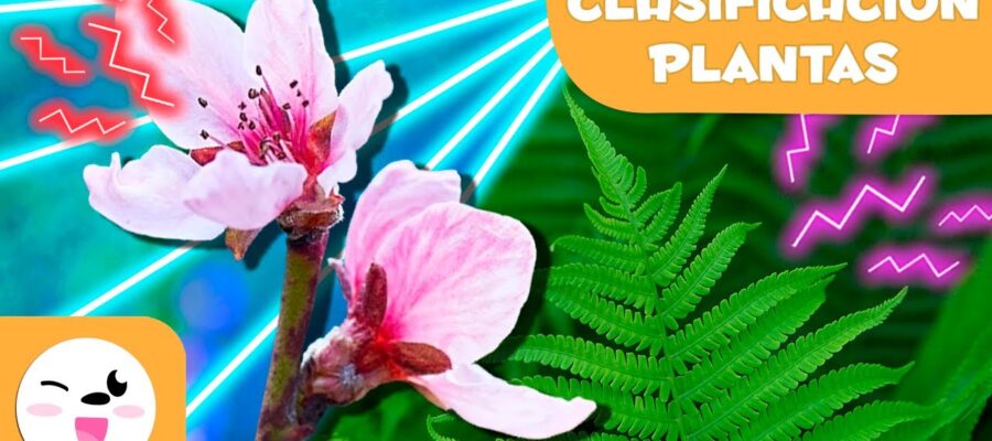 Descubre la Sorprendente Diferencia Entre una Flor y una Planta: ¡Sorpréndete!