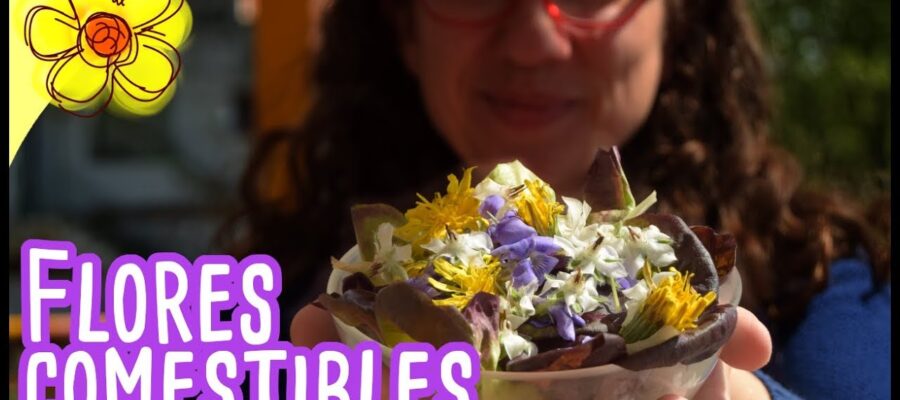 Cocina con flores comestibles: deliciosas recetas para disfrutar