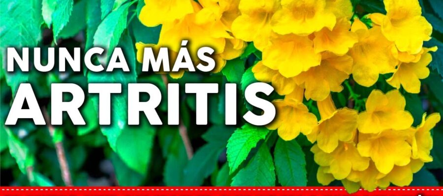 ¡Descubre las increíbles Flores que Ayudan a Aliviar Dolores y Molestias!