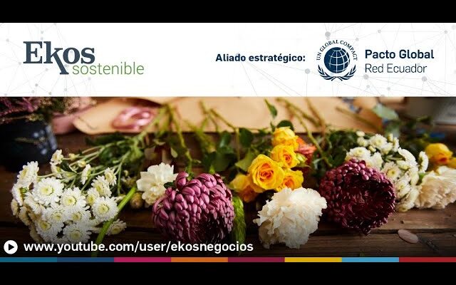 Cómo contribuir al comercio justo comprando flores: una guía para el consumidor consciente
