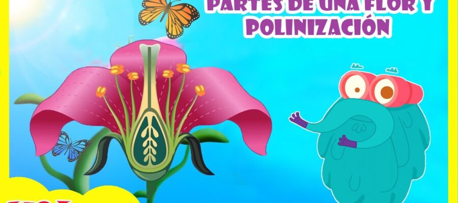Descubre los beneficios de la polinización para las flores: ¡Aprende cómo aprovecharla!