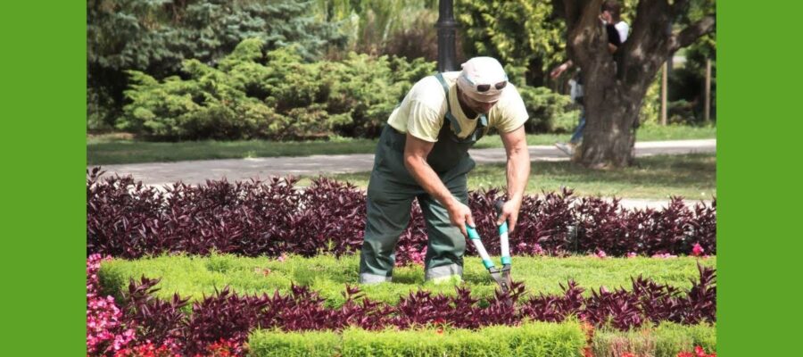 Consejos para jardineros sostenibles: Aprende las mejores técnicas de jardinería sostenible para tu jardín