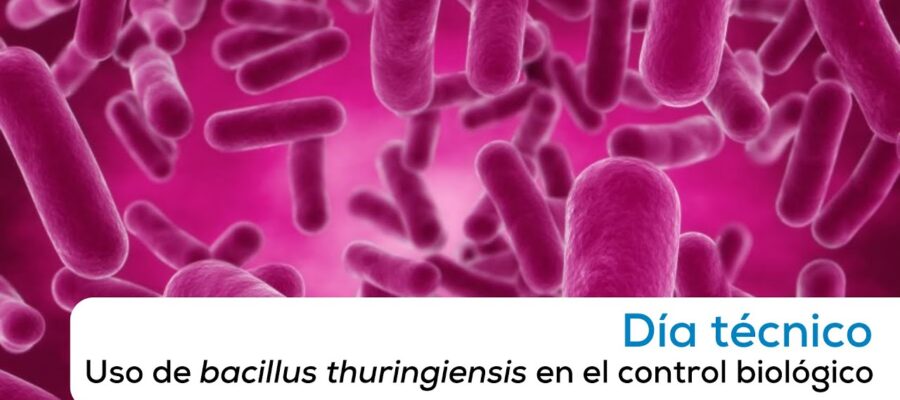 Bacillus thuringiensis (Bt): Uso en el Control Orgánico de Plagas