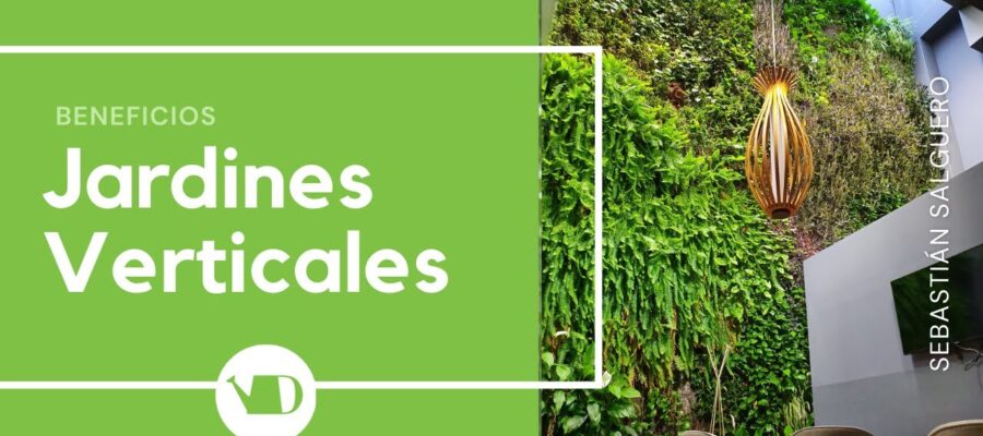 10 Beneficios Ambientales Increíbles de los Jardines Verticales