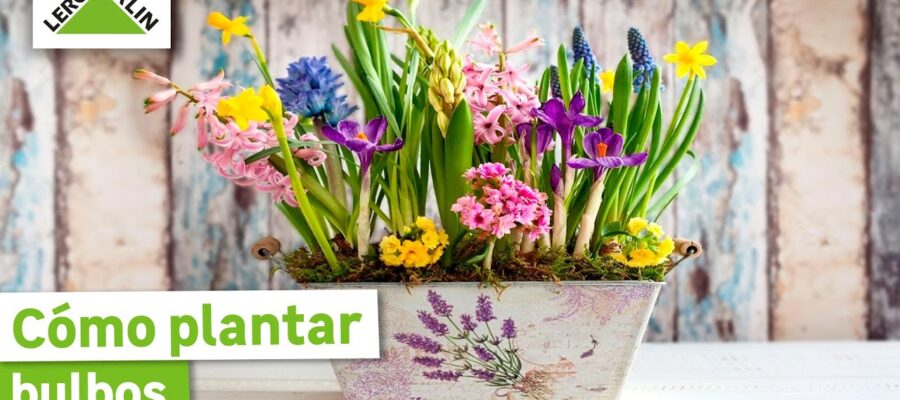 Cultiva un Paraíso Floral: Guía Completa para Plantar Bulbos de Flor en Balcones y Terrazas