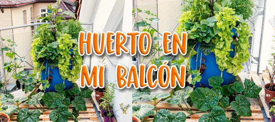 Guía Paso a Paso: Cómo Crear un Jardín Vertical en tu Balcón y Maximizar tu Espacio