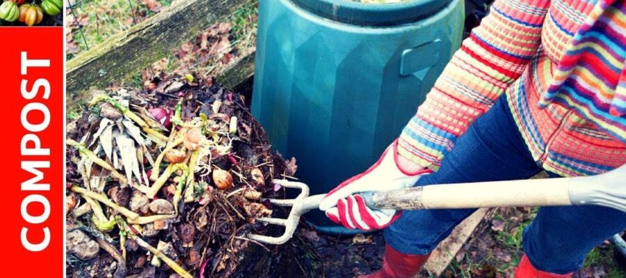 Cómo Hacer Compost en Casa: Una Guía para Principiantes