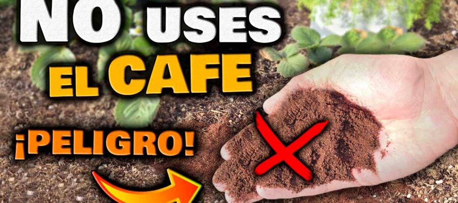 Cómo Usar el Té de Compost para Nutrir tus Plantas
