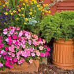 Flores y Amistad: Cómo Compartir la Alegría de la Jardinería con Tus Amigos