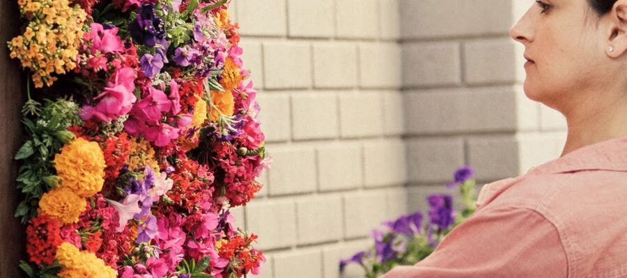 Cómo crear jardines verticales con flores: la guía definitiva para principiantes