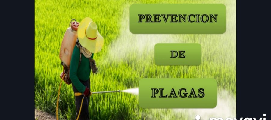 Jardinería en Climas Extremos: Prevención de Enfermedades y Plagas