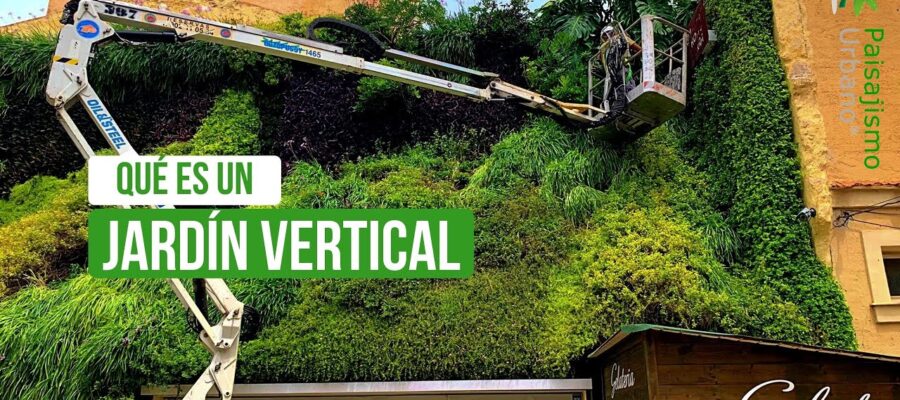 Jardines Verticales: Cómo Transforman el Espacio Urbano y Mejoran tu Vida