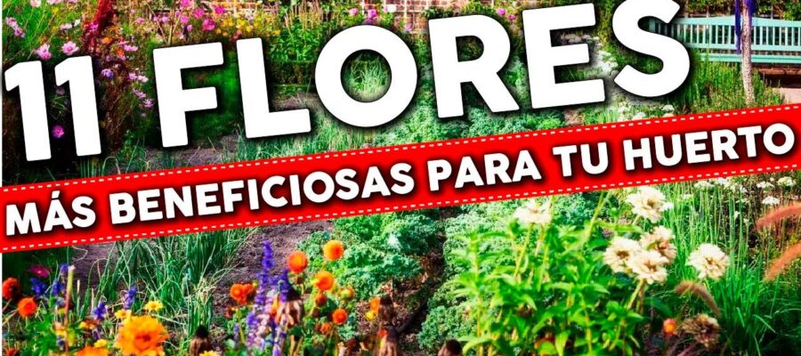 10 Flores Perfectas para Plantar en México este Abril: Guía de Jardinería
