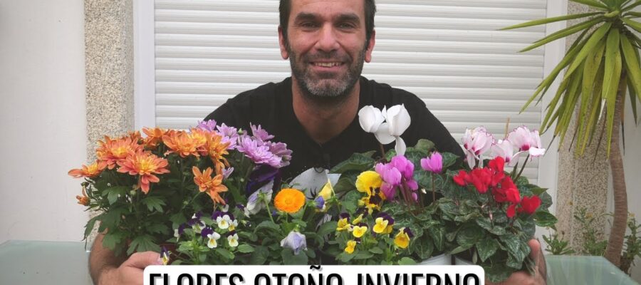 10 Mejores Flores para Plantar en Diciembre en México: Guía de Jardinería