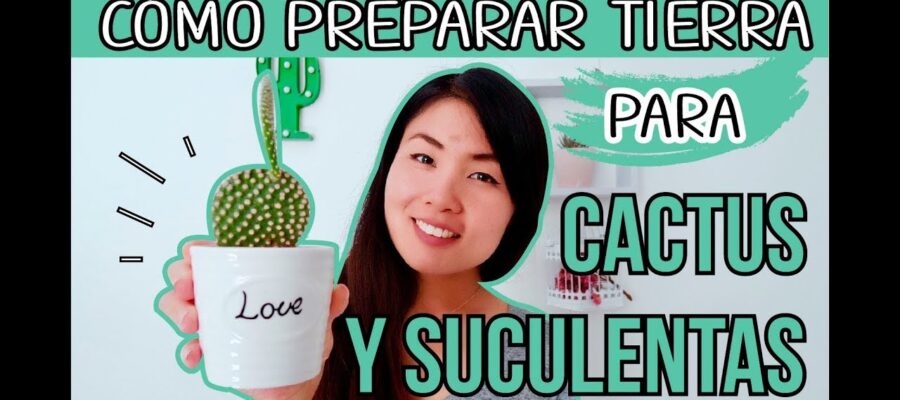 Guía Completa: Cómo Preparar la Tierra para Cactus y Asegurar su Crecimiento Óptimo