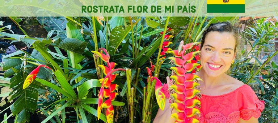 Guía Completa para Sembrar y Cuidar Patujú: Cultiva la Flor Nacional de Bolivia en tu Jardín