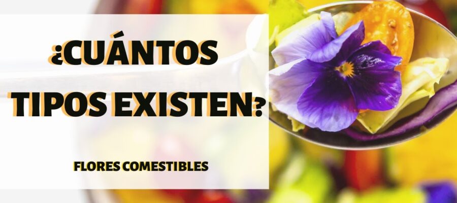 Del Jardín al Plato: Explora los Usos y Recetas de Flores en la Gastronomía Latinoamericana