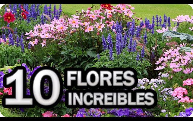 Guía Definitiva para la Jardinería en Altitud: Consejos Expertos para Cultivar Flores en los Andes