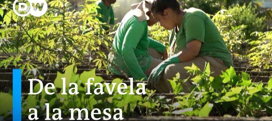 Impacto Verde: Iniciativas Exitosas en Proyectos Comunitarios de Jardinería en Latinoamérica